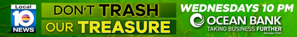 Local 10 — Don't Trash Our Treasure
